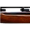 Image 8 : WINCHESTER | Model: 70 Pre 64 | Caliber: .300 H&H MAG