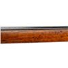 Image 19 : FRENCH BERTHIER | Model: 1907-15 | Caliber: 8MM LEBEL