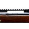 Image 8 : WINCHESTER | Model: 70 Classic Sporter | Caliber: .300 WIN MAG
