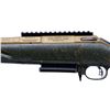 Image 6 : RUGER | Model: American Gen II Predator | Caliber: .243 WIN