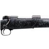 Image 3 : WINCHESTER | Model: 70 Coyote Light | Caliber: .22-250 REM