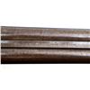 Image 17 : W.R PAPE NEWCASTLE ON TYNE | Model: Side Lock Hammer Gun | Caliber: 16 G X 2 1/2"