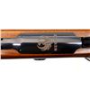 Image 15 : RUGER | Model: 77 Hawkeye | Caliber: .204 RUGER