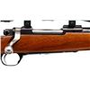 Image 3 : RUGER | Model: 77 Hawkeye | Caliber: .204 RUGER