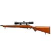 Image 5 : RUGER | Model: 77 Hawkeye | Caliber: .204 RUGER