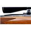 Image 9 : RUGER | Model: 77 Hawkeye | Caliber: .204 RUGER