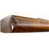 Image 15 : PRIMA ESSON GERMANY | Model: Drilling | Caliber: 16 G X 2 5/8"/8MM ?