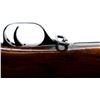 Image 23 : ROSS RIFLE | Model: 1905 MKII Presentation Civilian Target | Caliber: .303 BR