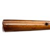 Image 17 : EARLY ROSS RIFLE HARTFORD CONN | Model: 1900/03 Transitional Factory Sporter | Caliber: .370 EXPRESS