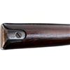 Image 16 : US ENFIELD | Model: 1917 | Caliber: .30-06 SPRG