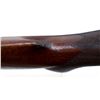 Image 13 : US SPRINGFIELD | Model: 1903 Star Gaged Sporter | Caliber: .30-06 SPRG
