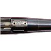 Image 15 : US SPRINGFIELD | Model: 1903 Star Gaged Sporter | Caliber: .30-06 SPRG