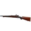 Image 5 : US SPRINGFIELD | Model: 1903 Star Gaged Sporter | Caliber: .30-06 SPRG