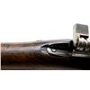 Image 21 : BELGIAN MAUSER | Model: 1889 Carbine | Caliber: 7.65 X 53
