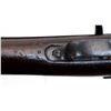 Image 22 : US SPRINGFIELD | Model: 1903 | Caliber: .30-06 SPRG