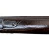 Image 23 : US SPRINGFIELD | Model: 1903 | Caliber: .30-06 SPRG