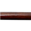 Image 17 : US SPRINGFIELD | Model: 1903 | Caliber: .30-06 SPRG