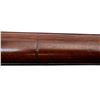 Image 19 : US SPRINGFIELD | Model: 1903 | Caliber: .30-06 SPRG