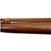 Image 26 : WWII GERMAN | Model: K43 | Caliber: 8MM MAUSER