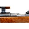 Image 13 : STEYR MANNLICHER | Model: 1903 | Caliber: 6.5 X 55