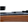 Image 12 : MARLIN JM | Model: 444 | Caliber: .444 MARLIN