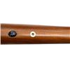 Image 15 : MARLIN JM | Model: 444 | Caliber: .444 MARLIN