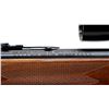 Image 9 : MARLIN JM | Model: 444 | Caliber: .444 MARLIN