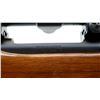 Image 8 : WINCHESTER | Model: 70 | Caliber: .225 WIN