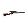 Image 1 : HENRY REPEATING ARMS | Model: Steel Lever Action | Caliber: .45-70 GOVT