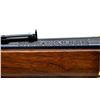 Image 9 : WINCHESTER | Model: 94 RCMP Commemorative | Caliber: .30-30 WIN