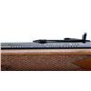 Image 9 : MARLIN/REMINGTON | Model: 444 | Caliber: .444 MARLIN