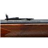 Image 11 : MARLIN JM | Model: 1895M | Caliber: .450 MARLIN