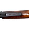 Image 13 : MARLIN JM | Model: 1895M | Caliber: .450 MARLIN