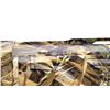 Image 11 : CHARLES DALY  | Model: 601 Field | Caliber: 12 G X 3"