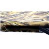 Image 8 : CHARLES DALY  | Model: 601 Field | Caliber: 12 G X 3"