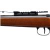 Image 6 : DIANA | Model: 240 Classic | Caliber: .177 CAL PELLET