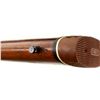 Image 15 : WINCHESTER | Model: 1907 SL | Caliber: .351 WSL