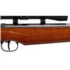 Image 3 : RUGER | Model: Air Hawk | Caliber: .177 CAL PELLET