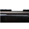 Image 8 : TIKKA | Model: T3 | Caliber: .300 WIN MAG