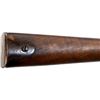 Image 12 : US KRAG | Model: 1898 Cavalry Carbine | Caliber: .30-40 KRAG