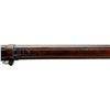 Image 16 : DUTCH BEAUMONT | Model: 1871/88 | Caliber: 11 X 52R DUTCH BEAUMONT