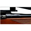 Image 11 : US LEE ENFIELD | Model: NO4 MKI* Sporter | Caliber: .303 BR