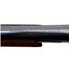 Image 13 : REMINGTON | Model: 31 | Caliber: 12 G X 2 3/4"