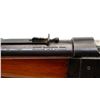 Image 8 : SAVAGE | Model: 99 Takedown | Caliber: .303 SAV