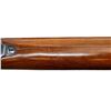 Image 16 : REMINGTON | Model: 722 | Caliber: .300 SAV