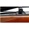 Image 8 : BRNO | Model: ZKW465 | Caliber: .22 HORNET