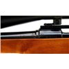 Image 7 : CIL PARKER HALE | Model: 972C | Caliber: .243 WIN