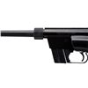 Image 6 : HENRY REPEATING ARMS | Model: US Survival  | Caliber: .22 LR