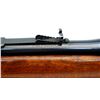 Image 8 : WINCHESTER | Model: 1895 Custom | Caliber: .303 BR