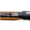 Image 12 : GEVARM | Model: Carabine Automatique | Caliber: .22 LR
